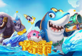 新kiyaun网页版登录电脑免费版